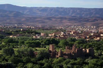 Panoramic view of the green Rose Valley with Kasbah and surrounding mountains, El Kelâa m'Gouna,