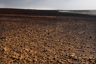Endless expanse of dusty desert landscape under clear skies, Erg Chebbi, Morocco