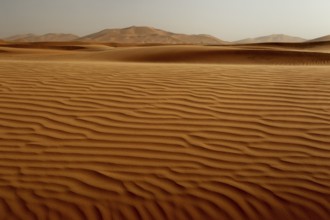 Impressive wave patterns on the sand dunes of Erg Chebbi, Erg Chebbi, Morocco