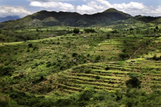 Panoramic view of terraced fields in Konso surrounded by rolling countryside, Konso, region,