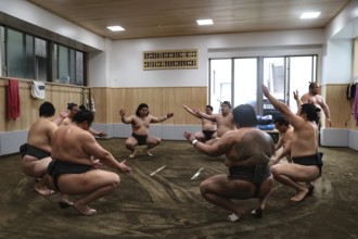 Sumo wrestlers practice together in the dojo in the Ryogoku district of Tokyo, Tokyo, Ryogoku,