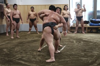 Intensive movements during sumo training fight in Ryogoku Dojo, Tokyo, Ryogoku, Japan