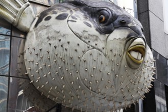 Large pufferfish as decoration at a restaurant in Tokyo, Tokyo, Japan