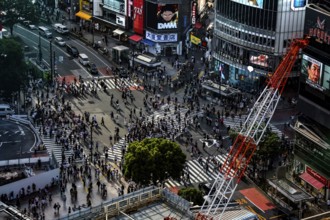 View from above of the busy Shibuya Intersection in Tokyo, Tokyo, Shibuya, Japan