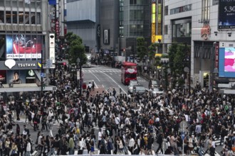 Large crowd crosses the busy Shibuya Intersection in Tokyo, Tokyo, Shibuya, Japan