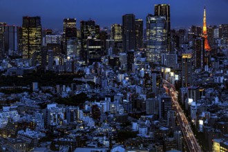 Night view of illuminated Tokyo skyline with Tokyo Tower, Tokyo, Shibuya, Japan