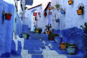 Blue staircase with colorful flower pots in a quiet alley of the Medina, Chefchaouen, Morocco