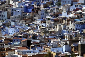 Extensive panorama of Chefchaouen with white buildings and blue accents, Chefchaouen,