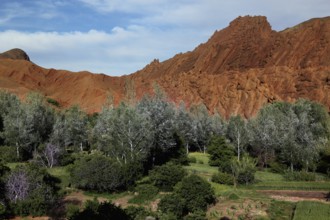 Fascinating rock formations of 'monkey paws' surrounded by lush greenery under a blue sky, Dadès,
