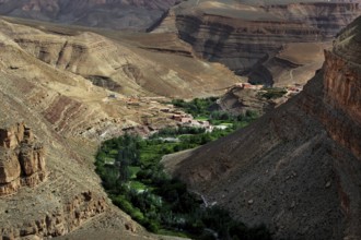 Green vegetation in the Dadès Canyon valley surrounded by massive rock walls, Dadès Gorge, Morocco