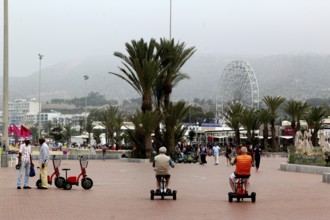 Visitors ride Segways along Agadir's beach promenade, palm trees line the trail, Agadir, Morocco