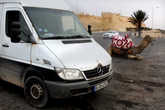 White van and a camel in a parking lot in front of a historic kasbah in Agadir, Agadir, zero,