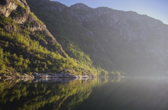 Idyllic Lysefjord with forest and mountains in morning sunlight, Lysefjord, Rogaland, Norway