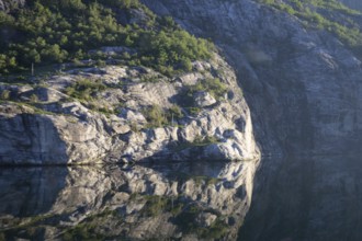 Steep rock face reflected in quiet Lysefjord surrounded by pine trees, steep wall with trees