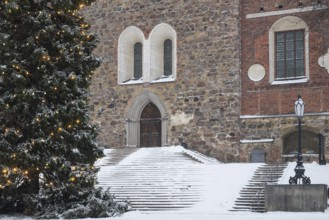 Christmas tree with fairy lights in front of stairs leading to the main portal, Turku Cathedral,