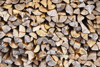 Wood, firewood, split and stacked, heat, energy, heating, Wilnsdorf, North Rhine-Westphalia,