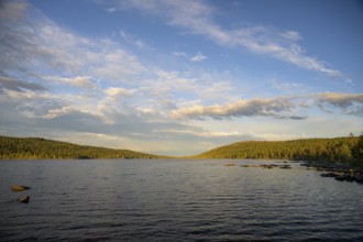 Extensive lake Gutulsjön in Gutulia National Park at dusk surrounded by forest and clouds in the