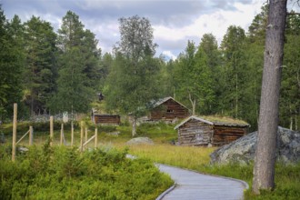 Small wooden huts on an alpine pasture in the forest with a hiking trail surrounded by trees,