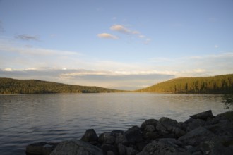 Lake Gutulsjön at dusk, still water under soft evening sky, Gutulia National Park, Engerdal,