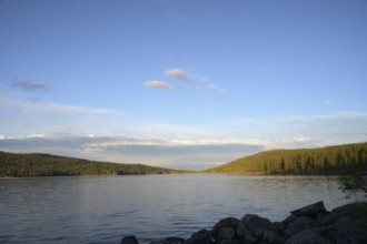 Extensive view of peaceful Lake Gutulsjön under clear evening sky, Gutulia National Park, Engerdal,
