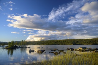 Calm lake with cloudy sky and reflections, surrounded by green trees, Gutulia National Park,