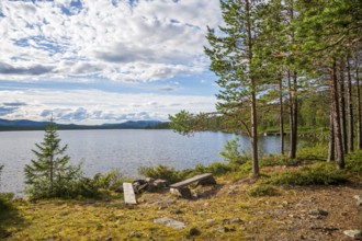 Bench overlooking a lake and surrounding forest landscape, Gutulia National Park, Engerdal,