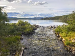 Drevsjø, Innlandet, Norway, A river flows into a calm lake surrounded by trees and a cloudy sky,