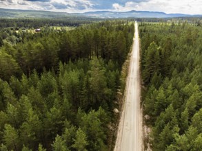Torsby, Värmlands län, Sweden, Long road through a thick green forest under a wide, cloudy sky,