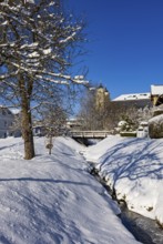 Snowy fruit trees with St. Michael Basilica, Mondsee, Mondseeland, Salzkammergut, Upper Austria,