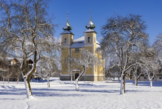 Snowy fruit trees with St. Lawrence Church in Sankt Lorenz bei Mondsee, Mondseeland, Salzkammergut,