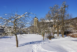 Snowy fruit trees with St. Michael Basilica, Mondsee, Mondseeland, Salzkammergut, Upper Austria,