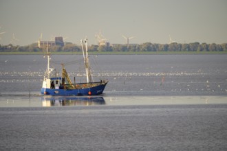Fishing boat fishing trawler sails across the water of the Jade Bay with wind turbines and seagulls