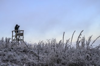 A photographer stands on a platform in a frosty landscape with cool, clear sky, Teutoburg Forest,