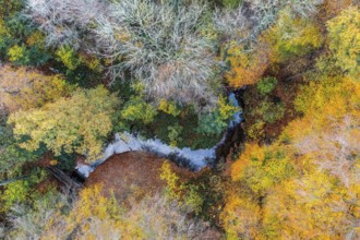 Melle, Lower Saxony, Germany, aerial view of an autumnal forest with colorful foliage and a small