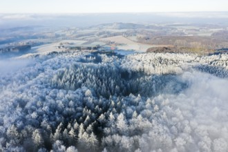 Borgholzhausen, North Rhine-Westphalia, Germany, large snowy forest from a bird's eye view, vast