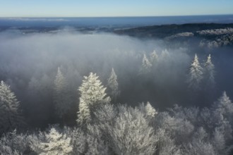 Borgholzhausen, North Rhine-Westphalia, Germany, snowy Teutoburg Forest seen from above in fog,