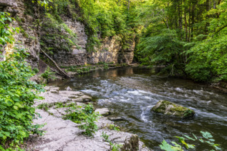 Natural river scene with rocks, rushing water and lush green forest