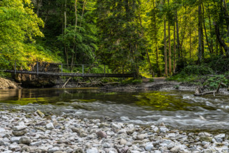 Clear river with a small bridge, surrounded by green forest and pebbles