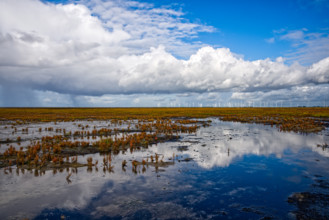 Wet marshland with water reflections and wind turbines in the distance under dramatic clouds