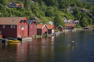 Feda, Agder, Norway, Red wooden houses boathouses along a forest surrounded by lush nature