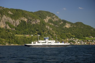Hjelmeland, Rogaland Municipality, Norway, ferry on a fjord in front of a wooded landscape with