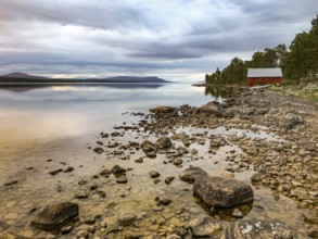 Drevsjø, Innlandet, Norway, The quiet Femund Lake with stones in the foreground and a red house in