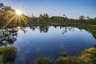 Hällefors, Örebro, Sweden, sunset over a lake with a clear reflection of the trees and a glowing