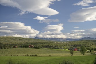 Folldal, Innlandet, Norway, Rural landscape with green fields, buildings and mountains on the