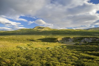 Dalholen, Innlandet, Norway, Open hilly landscape with vast sky and clouds