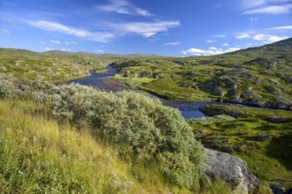 Vøringsfoss, Vestland, Norway, Green landscape with a river and hills under a blue sky in
