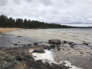 Drevsjø, Innlandet, Norway, A grey beach day with wavy water of Lake Femund, rocks and a thick