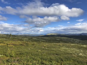 Alvdal, Innlandet, Norway, vast green landscape with mountains and a partly cloudy blue sky