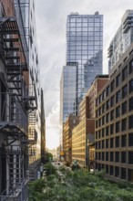 3Eleven, High Line, New York, USA