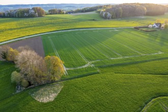 Evening landscape with extensive fields and a path illuminated by sunset. Curved aerial view in
